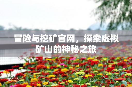 冒险与挖矿官网,探索虚拟矿山的神秘之旅 冒险与挖矿官网,探索虚拟矿山的神秘之旅