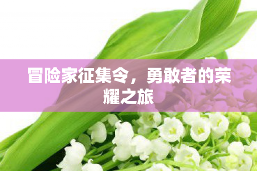 冒险家征集令,勇敢者的荣耀之旅 冒险家征集令,勇敢者的荣耀之旅