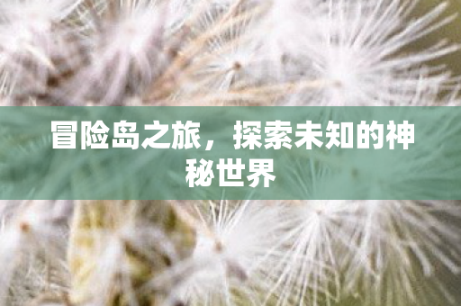 冒险岛之旅，探索未知的神秘世界