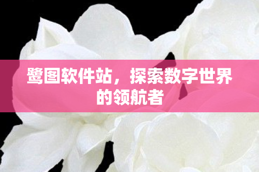 鹭图软件站,探索数字世界的领航者 鹭图软件站,探索数字世界的领航者