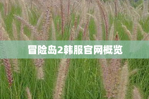 冒险岛2韩服官网概览
