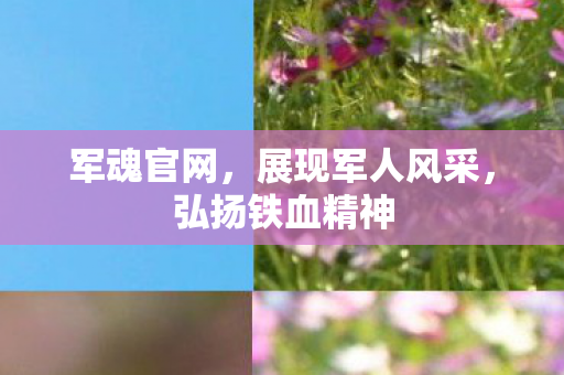 军魂官网,展现军人风采,弘扬铁血精神 军魂官网,展现军人风采,弘扬铁血精神