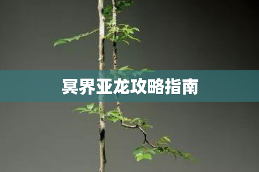 冥界亚龙攻略指南 冥界亚龙攻略指南