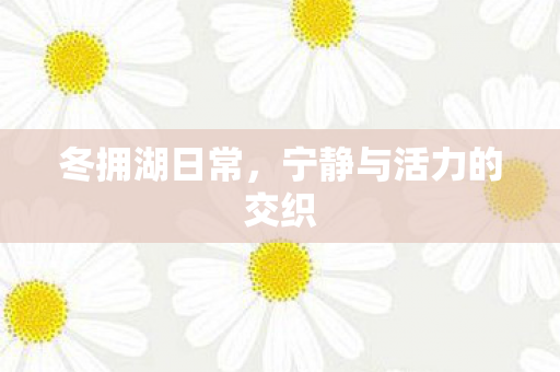 冬拥湖日常，宁静与活力的交织