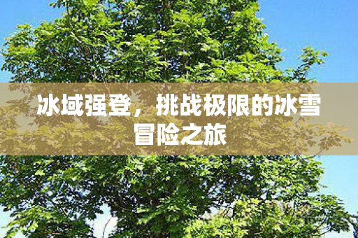 冰域强登，挑战极限的冰雪冒险之旅