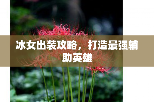 冰女出装攻略,打造最强辅助英雄 冰女出装攻略,打造最强辅助英雄