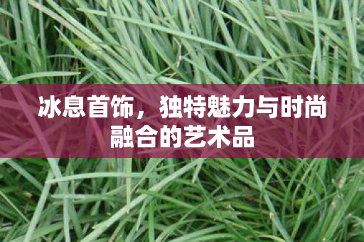 冰息首饰,独特魅力与时尚融合的艺术品 冰息首饰,独特魅力与时尚融合的艺术品