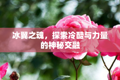 冰翼之魂，探索冷酷与力量的神秘交融