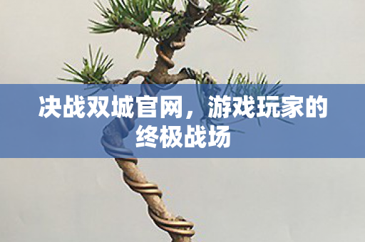 决战双城官网，游戏玩家的终极战场
