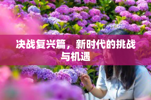决战复兴篇，新时代的挑战与机遇