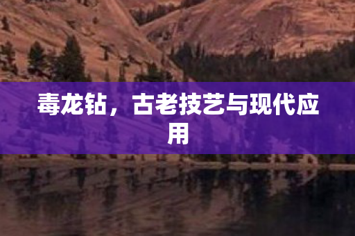 毒龙钻,古老技艺与现代应用 毒龙钻,古老技艺与现代应用