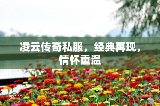 凌云传奇私服,经典再现,情怀重温 凌云传奇私服,经典再现,情怀重温