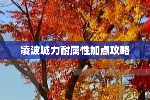 凌波城力耐属性加点攻略 凌波城力耐属性加点攻略