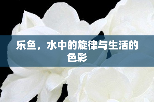 乐鱼,水中的旋律与生活的色彩 乐鱼,水中的旋律与生活的色彩