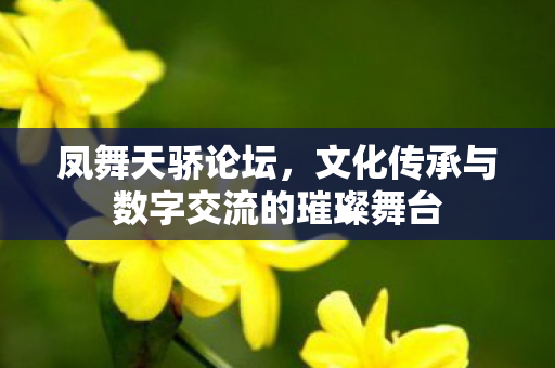 凤舞天骄论坛,文化传承与数字交流的璀璨舞台 凤舞天骄论坛,文化传承与数字交流的璀璨舞台