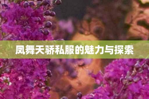 凤舞天骄私服的魅力与探索 凤舞天骄私服的魅力与探索