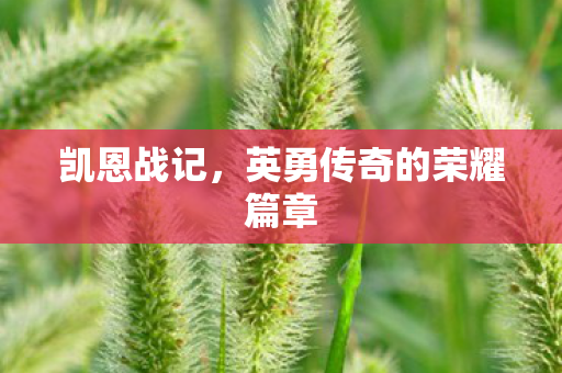 凯恩战记,英勇传奇的荣耀篇章 凯恩战记,英勇传奇的荣耀篇章