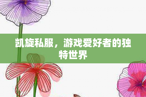 凯旋私服,游戏爱好者的独特世界 凯旋私服,游戏爱好者的独特世界