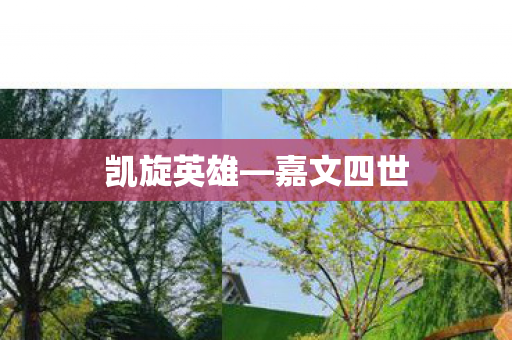 凯旋英雄—嘉文四世 凯旋英雄—嘉文四世