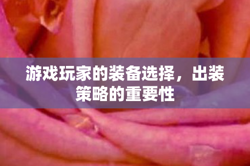 游戏玩家的装备选择,出装策略的重要性 游戏玩家的装备选择,出装策略的重要性