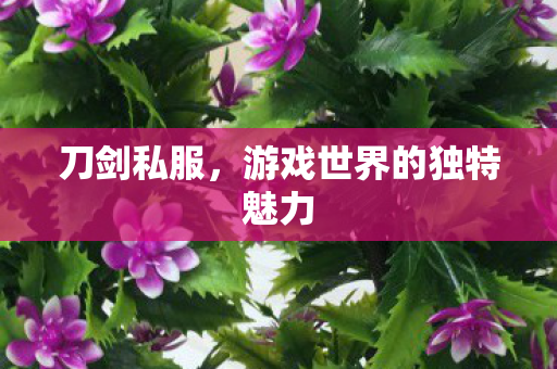刀剑私服,游戏世界的独特魅力 刀剑私服,游戏世界的独特魅力