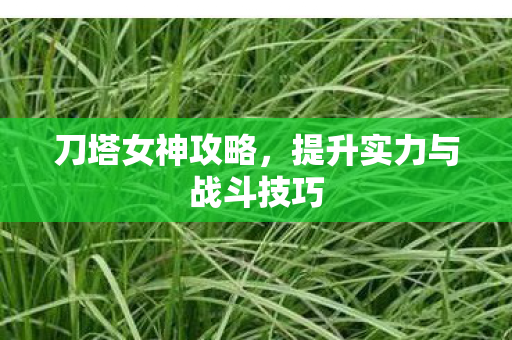刀塔女神攻略,提升实力与战斗技巧 刀塔女神攻略,提升实力与战斗技巧
