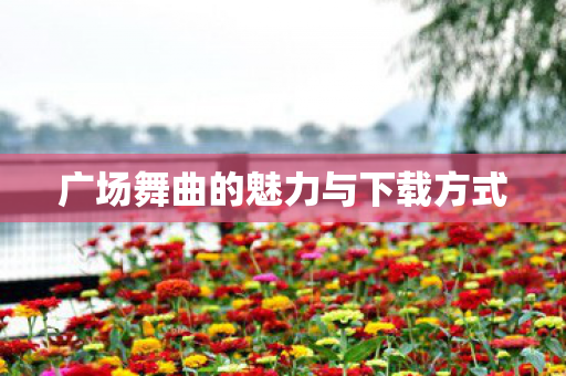 广场舞曲的魅力与下载方式
