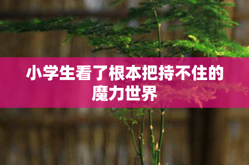 小学生看了根本把持不住的魔力世界 小学生看了根本把持不住的魔力世界