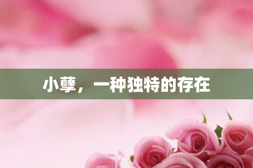 小孽,一种独特的存在 小孽,一种独特的存在