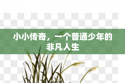 小小传奇，一个普通少年的非凡人生