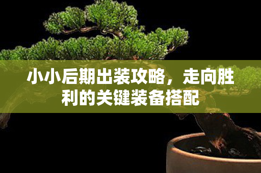 小小后期出装攻略,走向胜利的关键装备搭配 小小后期出装攻略,走向胜利的关键装备搭配