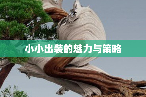 小小出装的魅力与策略 小小出装的魅力与策略