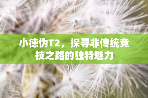 小德伪T2,探寻非传统竞技之路的独特魅力 小德伪T2,探寻非传统竞技之路的独特魅力