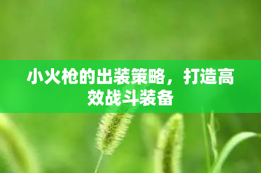 小火枪的出装策略,打造高效战斗装备 小火枪的出装策略,打造高效战斗装备