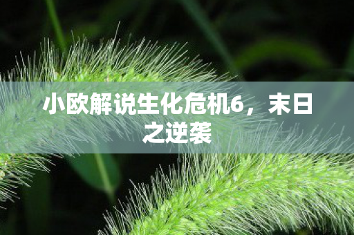 小欧解说生化危机6,末日之逆袭 小欧解说生化危机6,末日之逆袭
