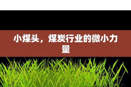 小煤头，煤炭行业的微小力量