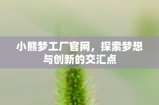 小熊梦工厂官网，探索梦想与创新的交汇点