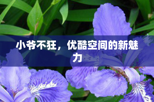 小爷不狂，优酷空间的新魅力