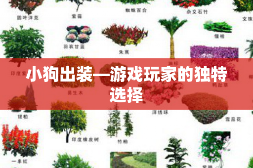 小狗出装—游戏玩家的独特选择 小狗出装—游戏玩家的独特选择