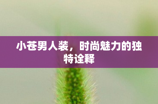 小苍男人装,时尚魅力的独特诠释 小苍男人装,时尚魅力的独特诠释