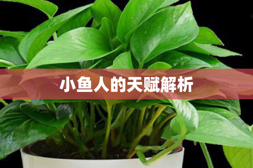 小鱼人的天赋解析 小鱼人的天赋解析