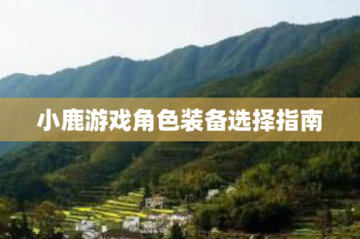 小鹿游戏角色装备选择指南