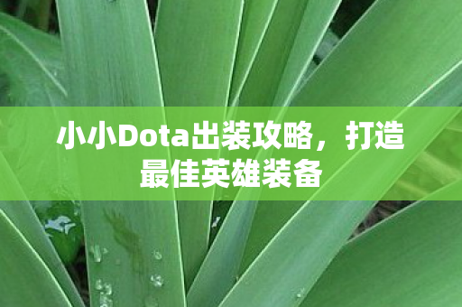 小小Dota出装攻略,打造最佳英雄装备 小小Dota出装攻略,打造最佳英雄装备
