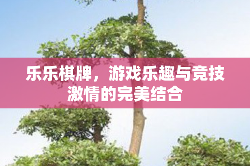 乐乐棋牌,游戏乐趣与竞技激情的完美结合 乐乐棋牌,游戏乐趣与竞技激情的完美结合