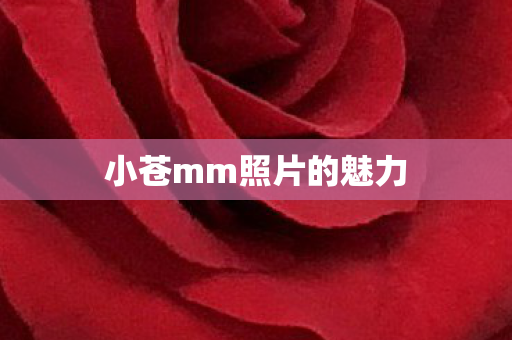 小苍mm照片的魅力 小苍mm照片的魅力