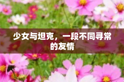 少女与坦克,一段不同寻常的友情 少女与坦克,一段不同寻常的友情