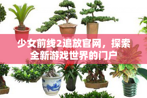 少女前线2追放官网,探索全新游戏世界的门户 少女前线2追放官网,探索全新游戏世界的门户