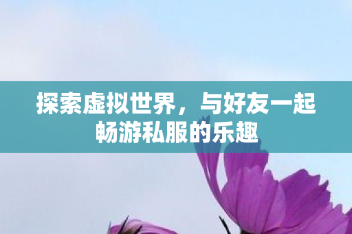 探索虚拟世界，与好友一起畅游私服的乐趣