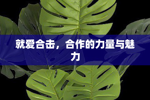 就爱合击,合作的力量与魅力 就爱合击,合作的力量与魅力