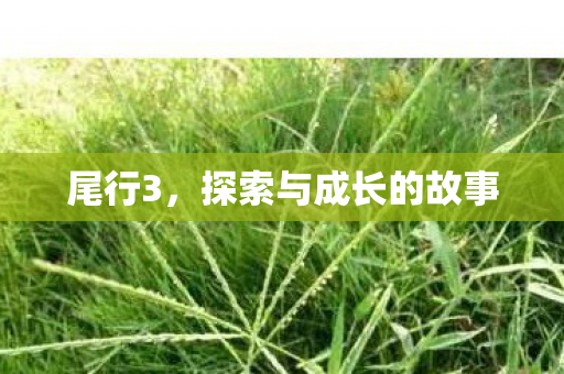 尾行3,探索与成长的故事 尾行3,探索与成长的故事